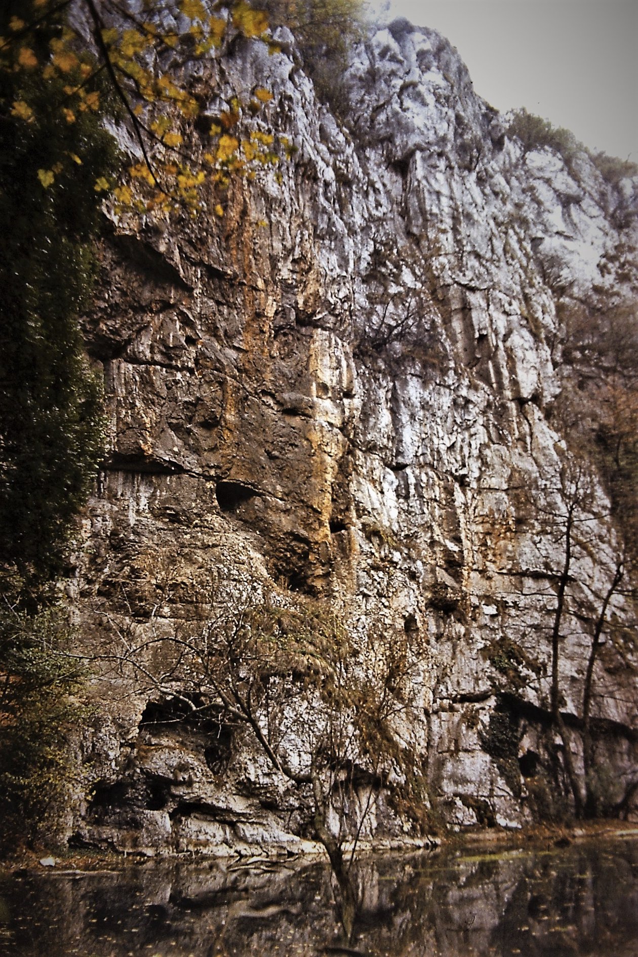 Sursă: Adrian Pauta