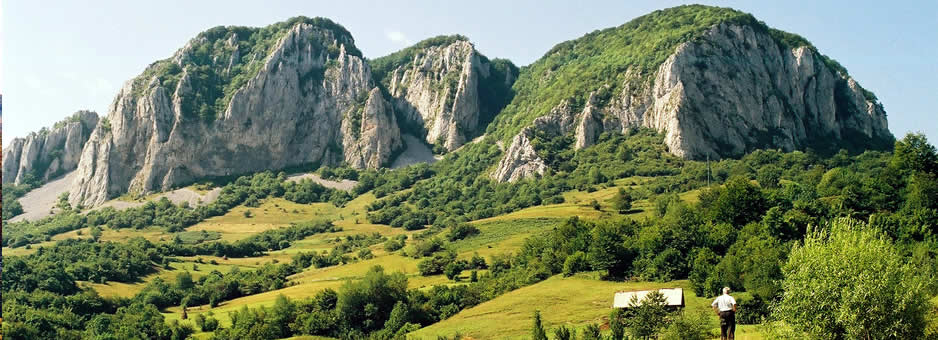 Sursă: http://www.buces.ro