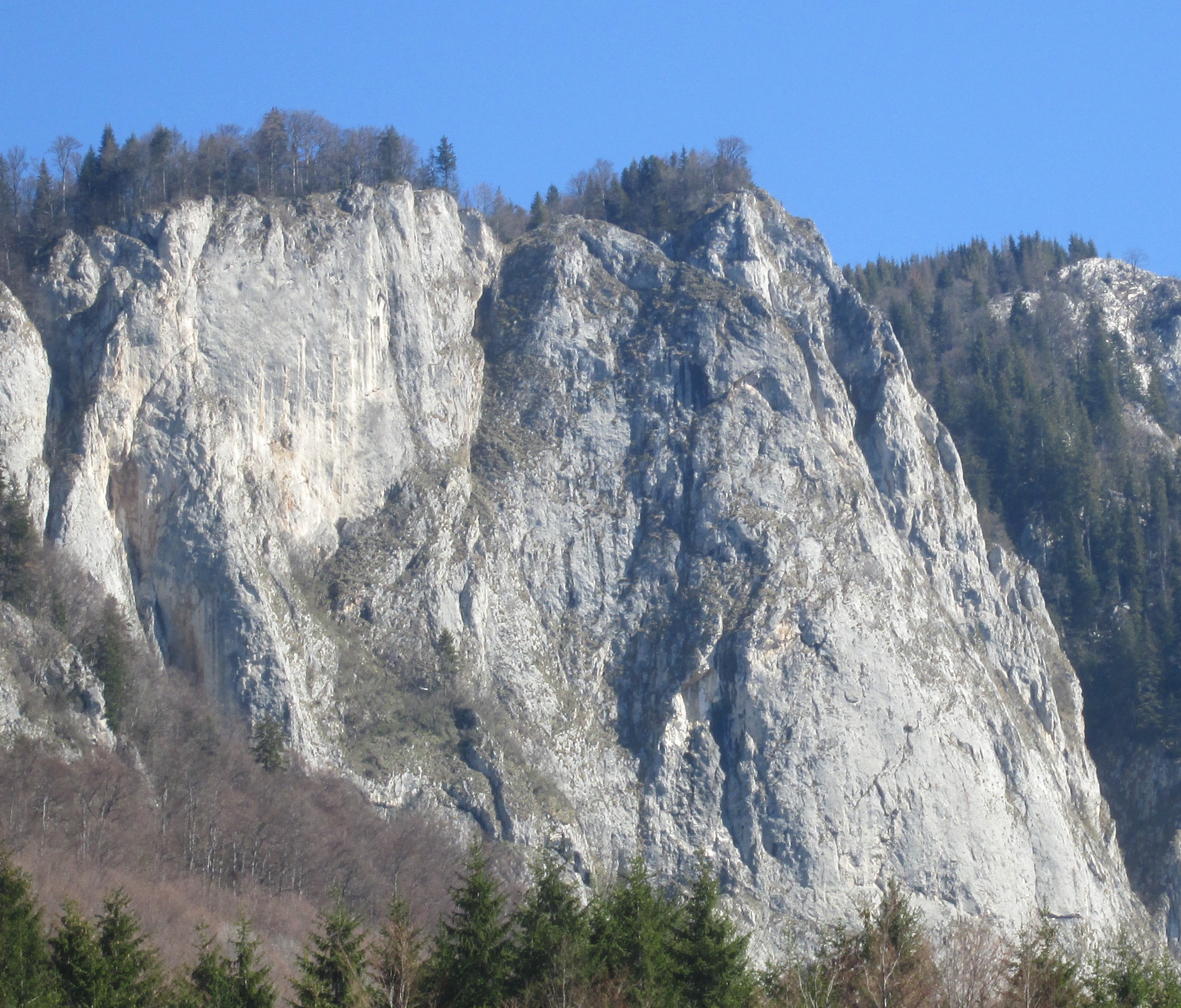 fata inalta